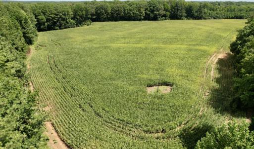 Photo #9 of SOLD property in Off Hwy 58, Boydton, VA 69.5 acres