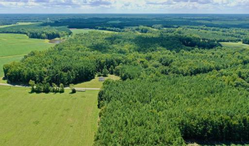 Photo #3 of SOLD property in 292 Peter Stallings Road, Macon, NC 53.0 acres