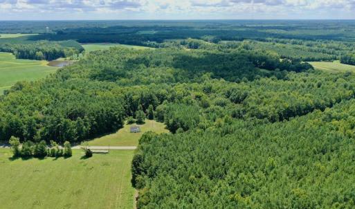 Photo #5 of SOLD property in 292 Peter Stallings Road, Macon, NC 53.0 acres