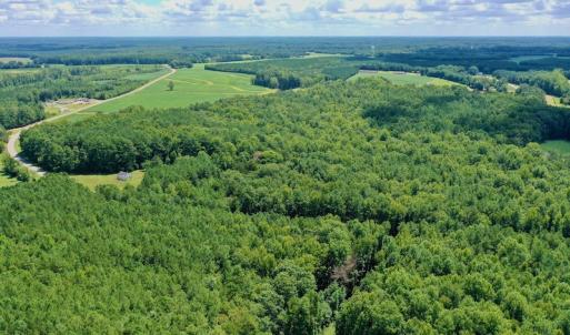 Photo #6 of SOLD property in 292 Peter Stallings Road, Macon, NC 53.0 acres