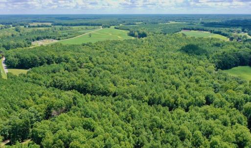 Photo #7 of SOLD property in 292 Peter Stallings Road, Macon, NC 53.0 acres