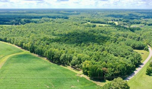 Photo #8 of SOLD property in 292 Peter Stallings Road, Macon, NC 53.0 acres