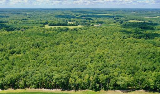 Photo #9 of SOLD property in 292 Peter Stallings Road, Macon, NC 53.0 acres