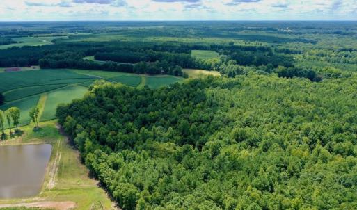 Photo #10 of SOLD property in 292 Peter Stallings Road, Macon, NC 53.0 acres