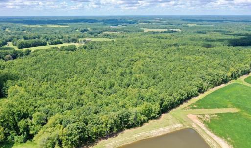 Photo #11 of SOLD property in 292 Peter Stallings Road, Macon, NC 53.0 acres