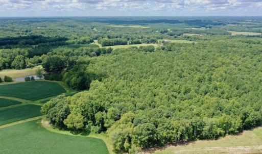 Photo #12 of SOLD property in 292 Peter Stallings Road, Macon, NC 53.0 acres