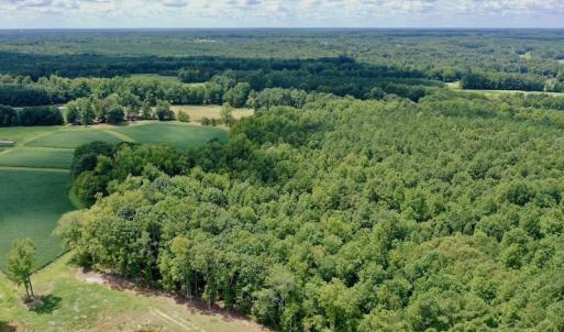 Photo #13 of SOLD property in 292 Peter Stallings Road, Macon, NC 53.0 acres