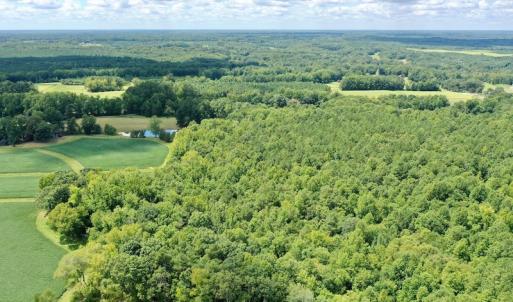 Photo #14 of SOLD property in 292 Peter Stallings Road, Macon, NC 53.0 acres