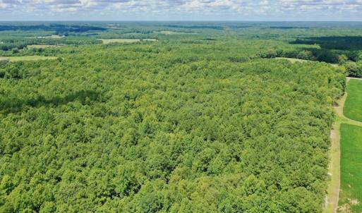 Photo #15 of SOLD property in 292 Peter Stallings Road, Macon, NC 53.0 acres