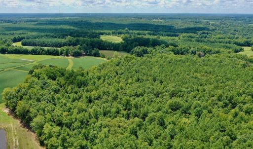 Photo #16 of SOLD property in 292 Peter Stallings Road, Macon, NC 53.0 acres