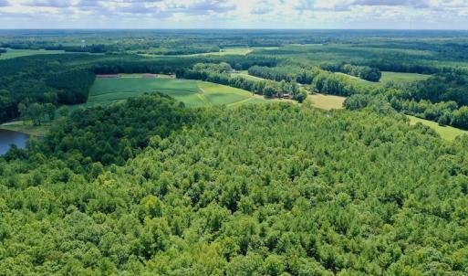 Photo #17 of SOLD property in 292 Peter Stallings Road, Macon, NC 53.0 acres