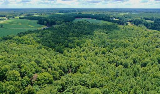 Photo #18 of SOLD property in 292 Peter Stallings Road, Macon, NC 53.0 acres