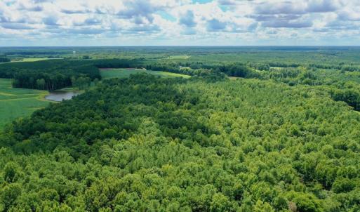 Photo #19 of SOLD property in 292 Peter Stallings Road, Macon, NC 53.0 acres