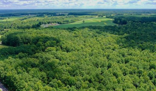 Photo #20 of SOLD property in 292 Peter Stallings Road, Macon, NC 53.0 acres