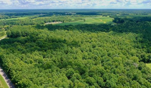 Photo #21 of SOLD property in 292 Peter Stallings Road, Macon, NC 53.0 acres