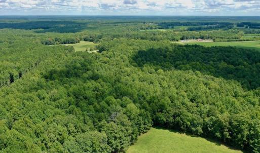 Photo #22 of SOLD property in 292 Peter Stallings Road, Macon, NC 53.0 acres