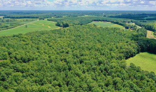 Photo #23 of SOLD property in 292 Peter Stallings Road, Macon, NC 53.0 acres