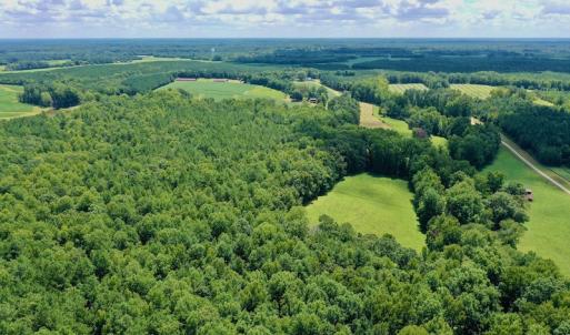 Photo #24 of SOLD property in 292 Peter Stallings Road, Macon, NC 53.0 acres