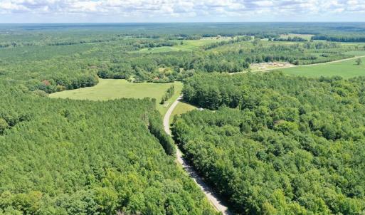 Photo #25 of SOLD property in 292 Peter Stallings Road, Macon, NC 53.0 acres