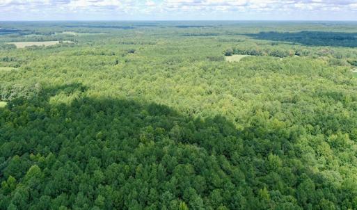 Photo #26 of SOLD property in 292 Peter Stallings Road, Macon, NC 53.0 acres