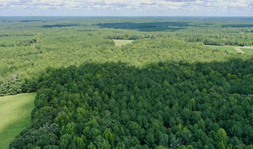 Photo #27 of SOLD property in 292 Peter Stallings Road, Macon, NC 53.0 acres