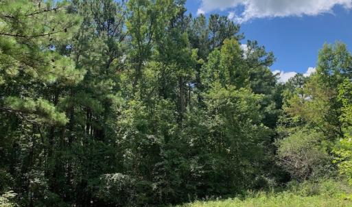 Photo #28 of SOLD property in 292 Peter Stallings Road, Macon, NC 53.0 acres