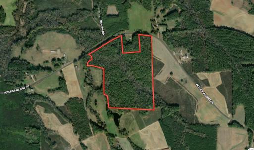 Photo #1 of SOLD property in 292 Peter Stallings Road, Macon, NC 53.0 acres