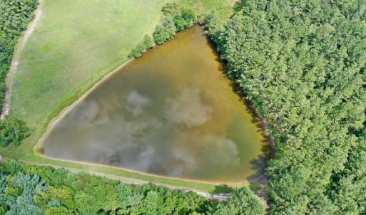 Photo #7 of SOLD property in 1227 Weavers Chapel Road, Littleton, NC 30.5 acres