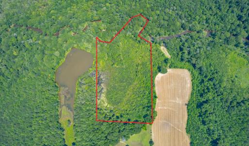 Photo #2 of SOLD property in Off Old Murphy Road, Wendell, NC 11.8 acres