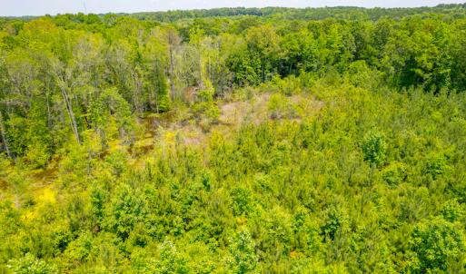 Photo #11 of SOLD property in Off Old Murphy Road, Wendell, NC 11.8 acres
