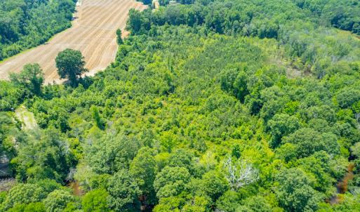 Photo #14 of SOLD property in Off Old Murphy Road, Wendell, NC 11.8 acres