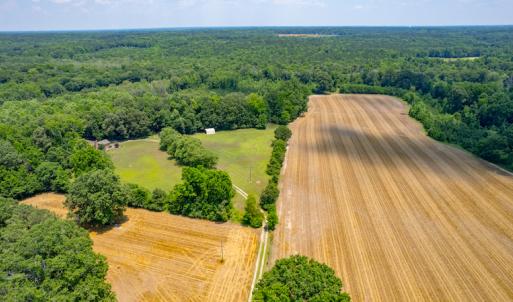 Photo #18 of SOLD property in Off Old Murphy Road, Wendell, NC 11.8 acres
