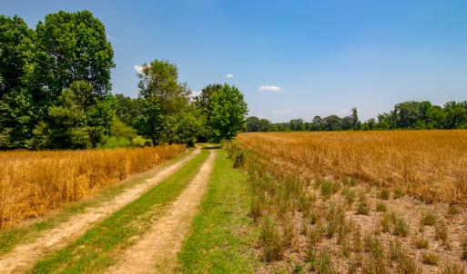 Photo #19 of SOLD property in Off Old Murphy Road, Wendell, NC 11.8 acres