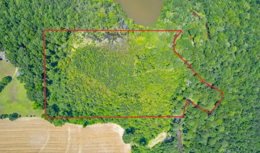 Photo #3 of Off Old Murphy Road, Wendell, NC 11.8 acres