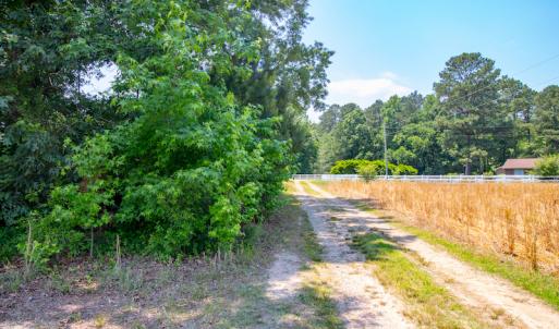 Photo #20 of SOLD property in Off Old Murphy Road, Wendell, NC 11.8 acres
