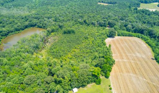 Photo #4 of SOLD property in Off Old Murphy Road, Wendell, NC 11.8 acres
