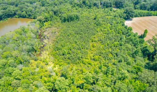 Photo #9 of SOLD property in Off Old Murphy Road, Wendell, NC 11.8 acres