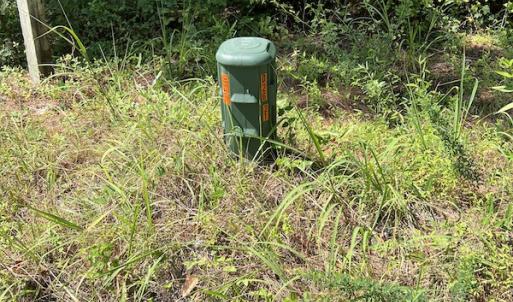 Photo #11 of SOLD property in Off Bell Road, Ivor, VA 6.0 acres