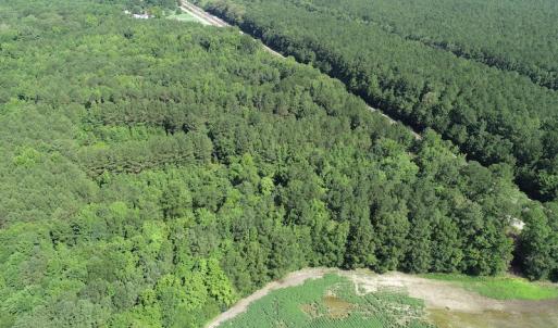 Photo #5 of SOLD property in Off Bell Road, Ivor, VA 6.0 acres