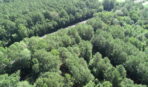 Photo #6 of SOLD property in Off Bell Road, Ivor, VA 6.0 acres