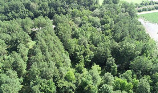 Photo #7 of SOLD property in Off Bell Road, Ivor, VA 6.0 acres
