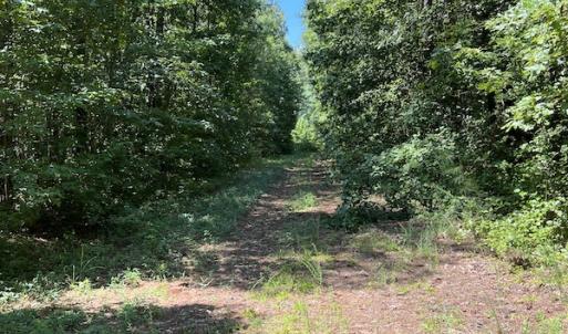 Photo #12 of Off Bell Road, Ivor, VA 2.3 acres