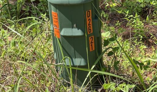 Photo #13 of Off Bell Road, Ivor, VA 2.3 acres