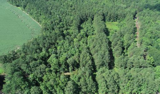 Photo #14 of Off Bell Road, Ivor, VA 2.3 acres