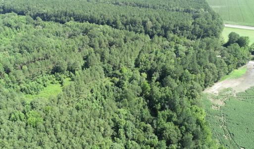 Photo #16 of Off Bell Road, Ivor, VA 2.3 acres