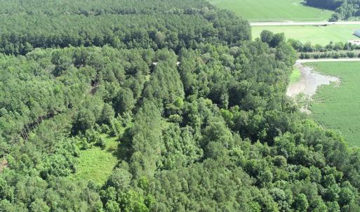 Photo #17 of Off Bell Road, Ivor, VA 2.3 acres