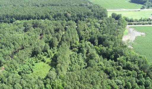 Photo #18 of Off Bell Road, Ivor, VA 2.3 acres