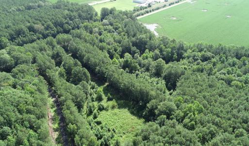 Photo #20 of Off Bell Road, Ivor, VA 2.3 acres