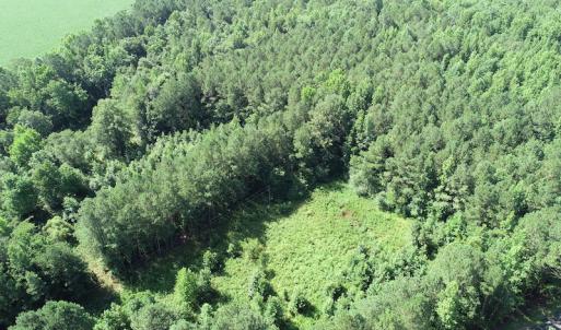 Photo #23 of Off Bell Road, Ivor, VA 2.3 acres