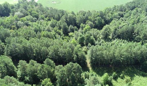 Photo #24 of Off Bell Road, Ivor, VA 2.3 acres